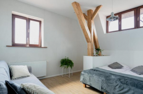 CityCenterApartment/M2/6 Katowice